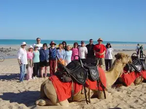 Broome PET Retreat Group