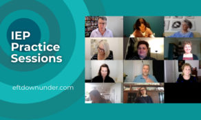 IEP Update and Practice Sessions